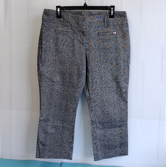 Express Women's Capri Pants Office Size 10 - Picture 1 of 11
